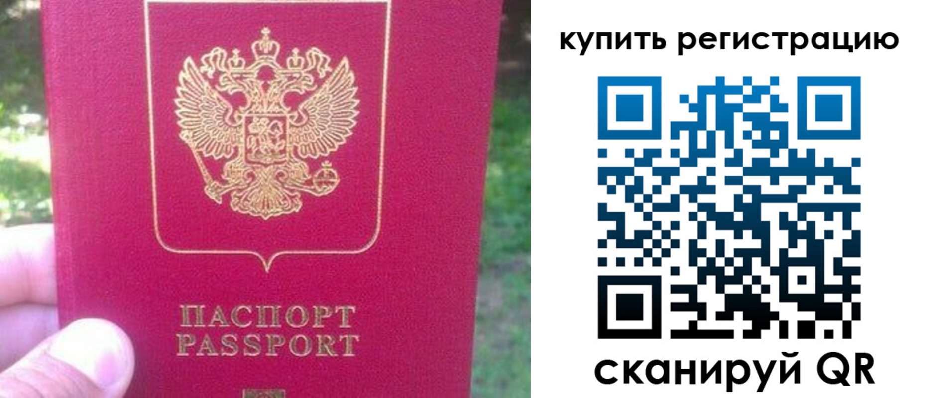 регистрация для школы в Лосино-Петровском